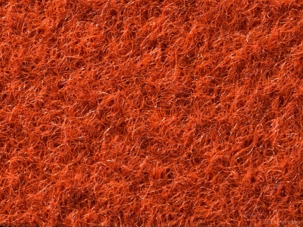 Lavavaip, 210 Aragosta, Elea Polyane m²