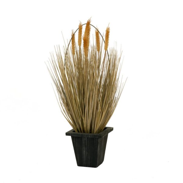 Decoration: 'Summer wheat', 60cm, pot