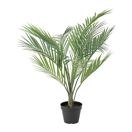 Decoration: Pisipalm 68cm Ø-12cm